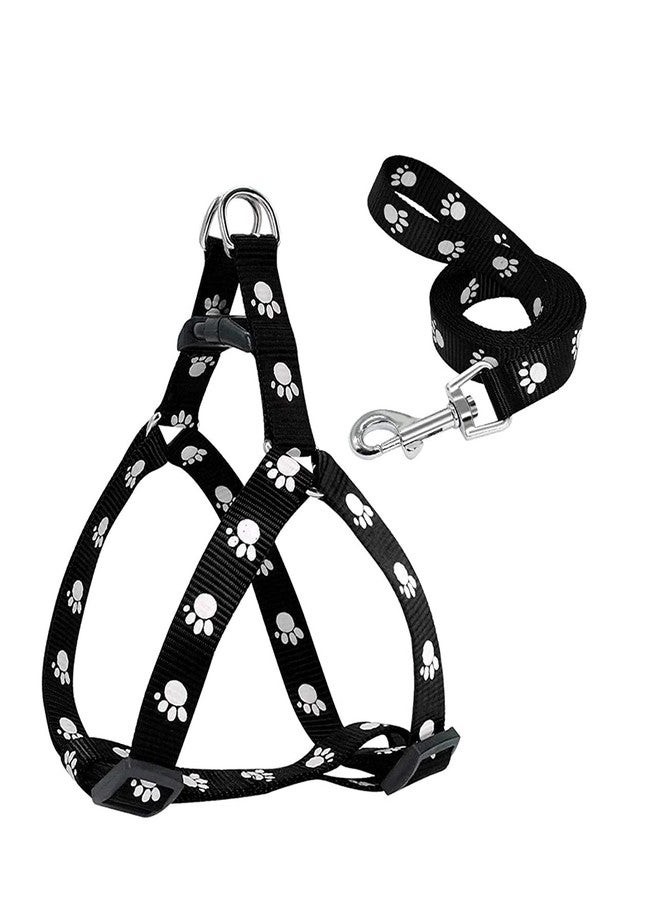 Pet Guard طوق ومقود للكلاب الصغيرة من بيت جارد، مزين بطبعة مخالب، لون أسود (قد يختلف اللون) - Image 4